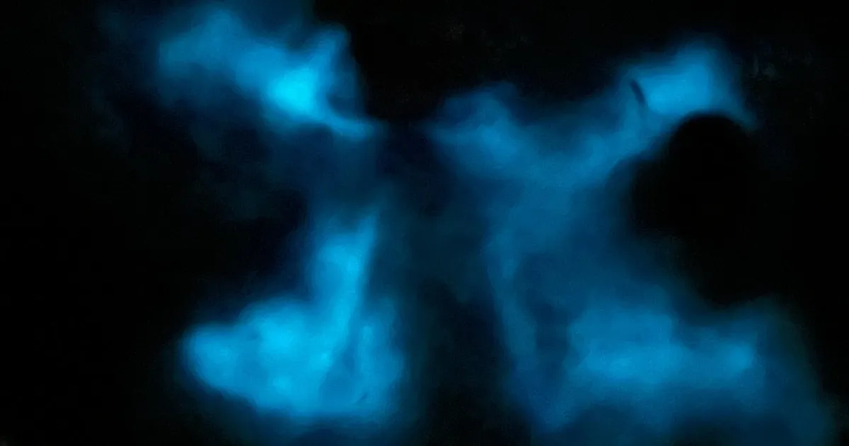 Night boat gliding through glowing blue-green water on a La Parguera bioluminescent bay boat tour in Lajas, Puerto Rico